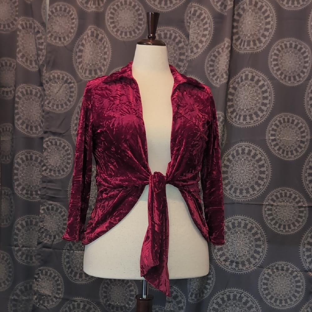 Elegant Burgundy Velvet Women's Top